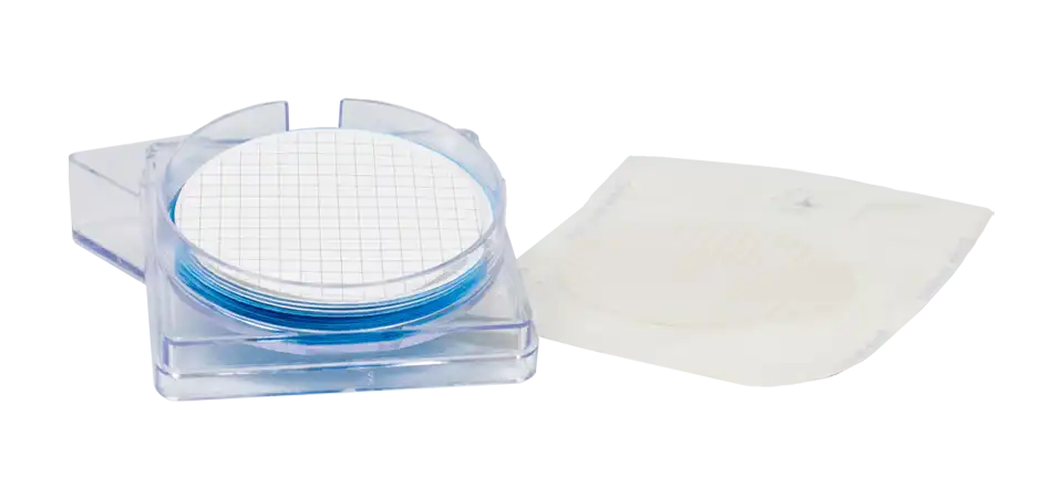 Karışık Selüloz Ester Membran Filtre, Hidrofilik, Beyaz, Non-steril, Düz Daire, 3,0 μm, 47 mm, 100 adet/paket