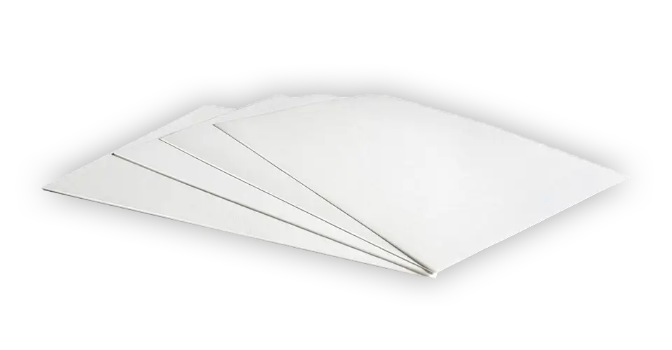Tohum Çimlendirme Test Kağıdı, Grade 520b, Beyaz, Kreplenmiş, Yaprak Şeklinde, 580 x 580 mm, 100 adet/paket