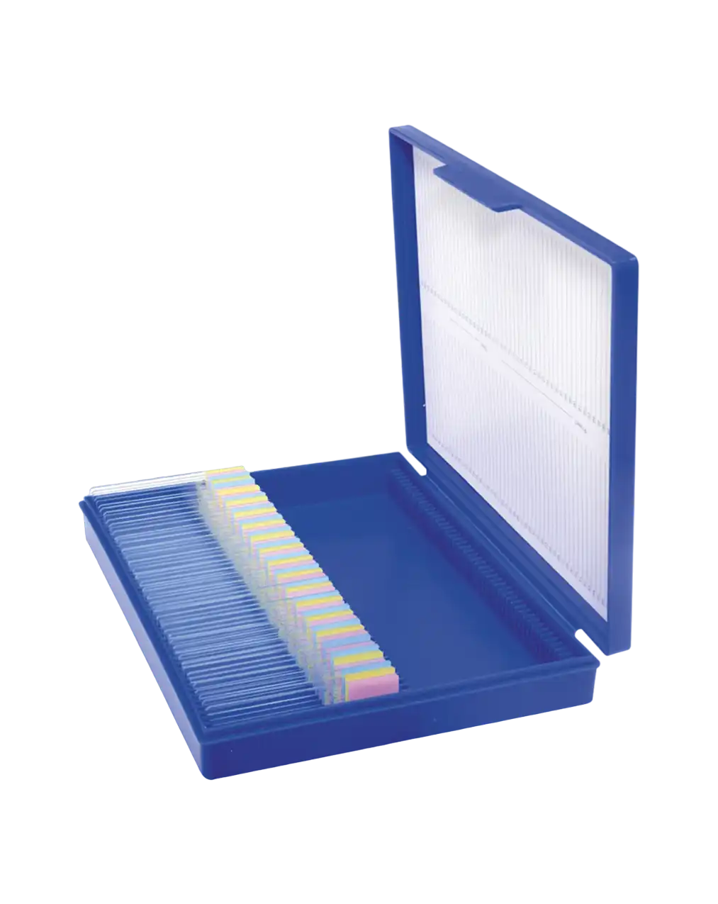 Slide Box, P.P, 100 Slide Capacity, with Hinged Lid, with Plastic Lock, Purple