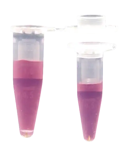 Microcentrifuge (Eppendorf) Tube, P.P, Flat Cap, 0,5 ml Volume, W/O Skirt, Autoclavable, Non-sterile, 500 pcs/pack