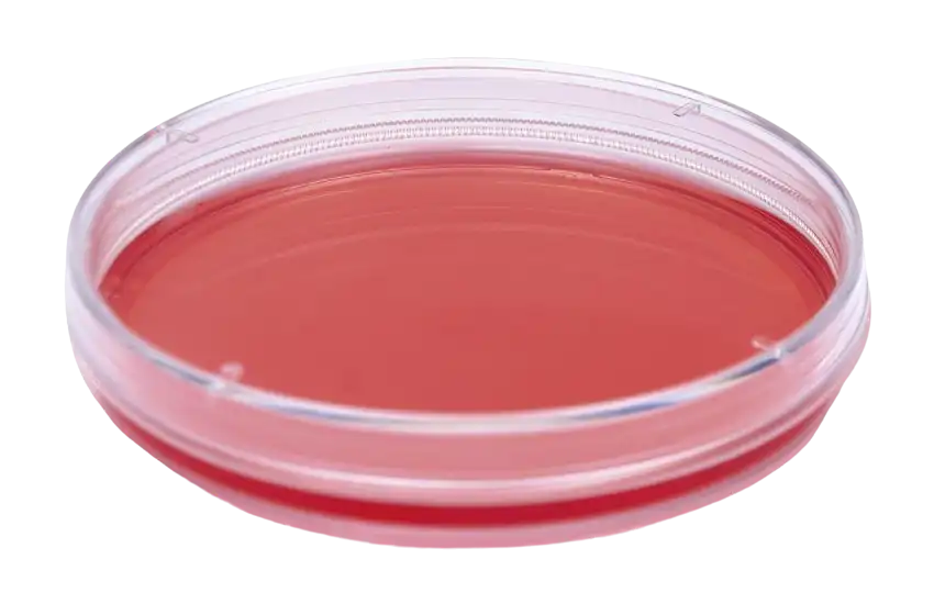 Petri Dishes, P.S, for Cell Culture, 32,8 mm Diameter, 13 mm Height, 8,5 cm² Growth Area, 3 ml Volume, Gamma Sterile, 960 pcs/box