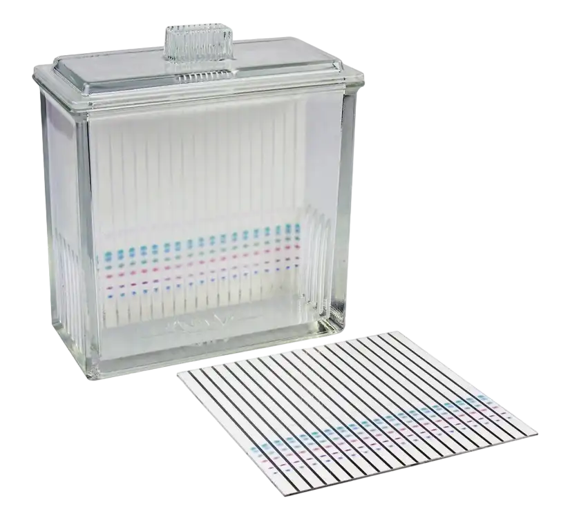 TLC Separation Tank, Glass, for 20 x 20 cm TLC Plates